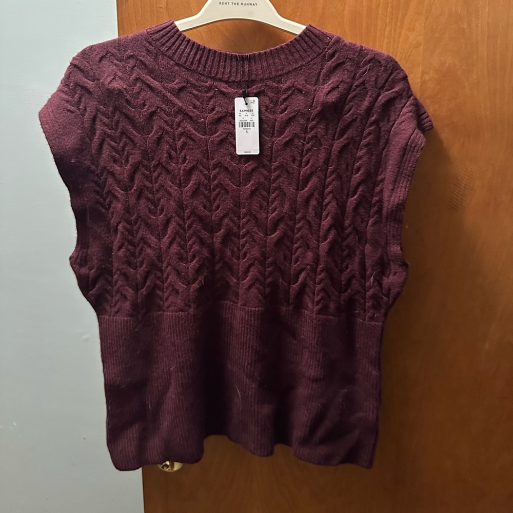 Express Deep Burgundy Knit Sweater